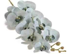 Comert cu ridicata ramuri de orhidee