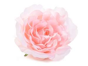 Ingrosso rosa gigante per vetrina