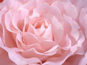 Ingrosso rosa gigante per vetrina