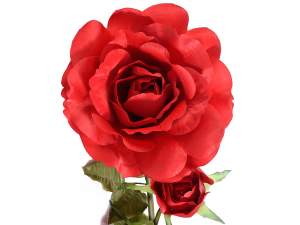 Ingrosso rosa gigante rossa