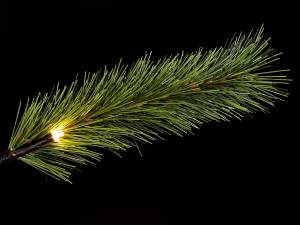 sapin de Noël en gros avec lumières