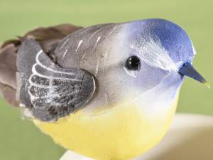 Grossista uccellini decorativi piume vere