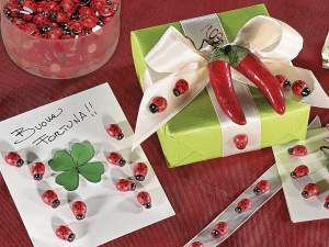 Coccinelle decorazioni adesivo