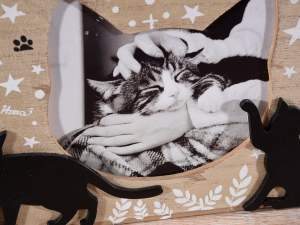 Scatole portafoto gatti ingrosso