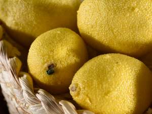 Vitrine für künstliche Zitronen im Großhandel