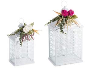 Ingrosso lanterne bianche astilbe fiori di campo