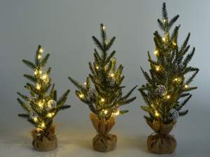 Christmas tree set with lights
