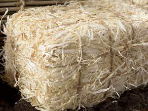 Decorative straw bale wholesaler