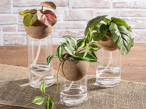 wholesale hydroculture glass cork vases