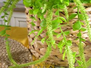 wholesale woven fiber basket