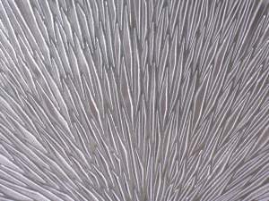 wholesale round kitchen placemat