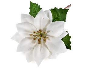 en-gros alegator de poinsettia alba