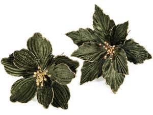 ingrosso stella natale pick