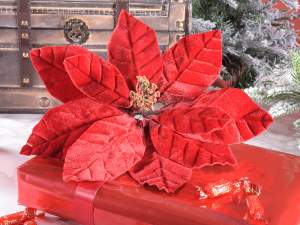 Ingrosso stella di natale rossa