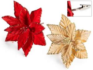 ingrosso stella di natale pick