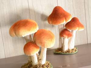 Champignons décoratifs sur papier tissu