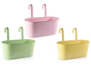Gros pot de géraniums colorés