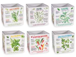 ingrosso vasetti erbe aromatiche cucina