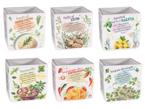 ingrosso vasetti erbe aromatiche cucina