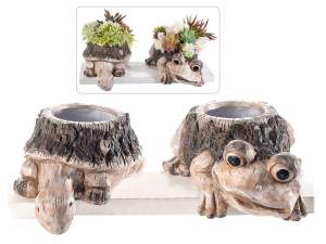 Ingrosso vasi tartaruga terracotta