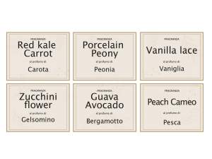 Frascos de velas perfumadas