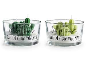 Vela de cactus en frasco de vidrio con escritura.