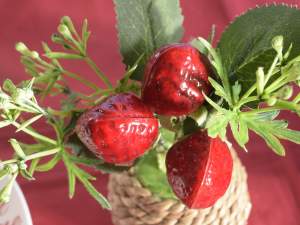 Vente en gros pots de fraises en ficelle