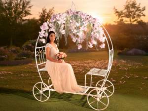 wholesale mobile carriage showcase