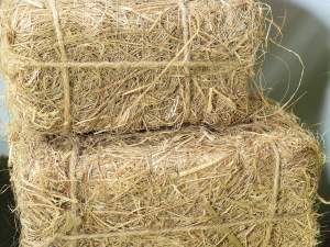 Wholesale decorative hay bales