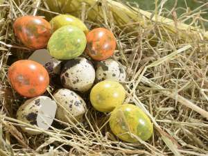 Wholesale egg ornamental