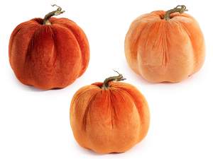 ingrosso zucca velluto vetrina