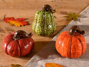 grossista zucche decorative