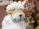 Grossisti pecore decorative peluche