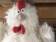 Ingrosso gallo gallina decorative