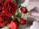 Ingrosso rose rosse artificiali