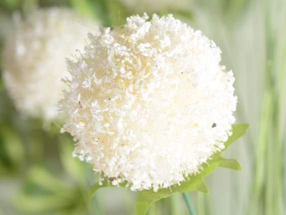 Planta ornamental con flores en maceta de cuerda.