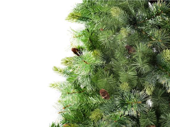 Colorado Christmas Pine H210 - 1017 Ramuri Glitter