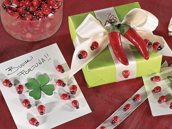 Coffret de 200 coccinelles en bois avec scotch double face