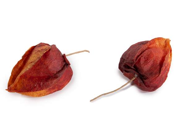 Paquete de 12 bayas de invierno artificiales con tallo