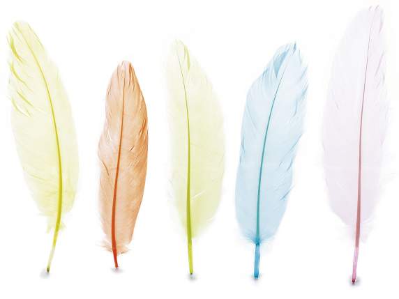 Boite avec 24 plumes de couleur decoratives