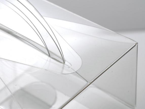 Boîte rectangulaire en PET de qualité alimentaire avec poign