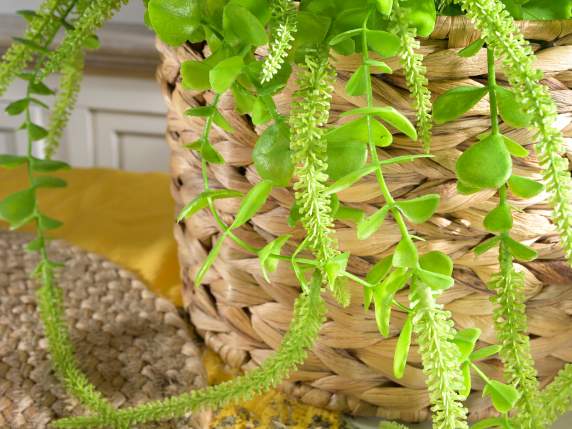 Juego de 3 cestas tejidas con jacintos naturales