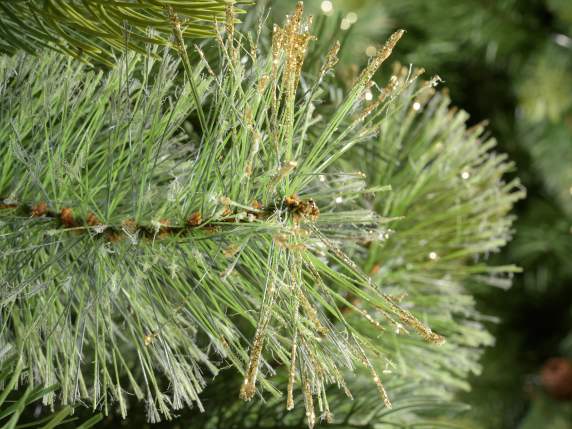 Artificial Pine Colorado H180 w - 665 branches w - glitter,