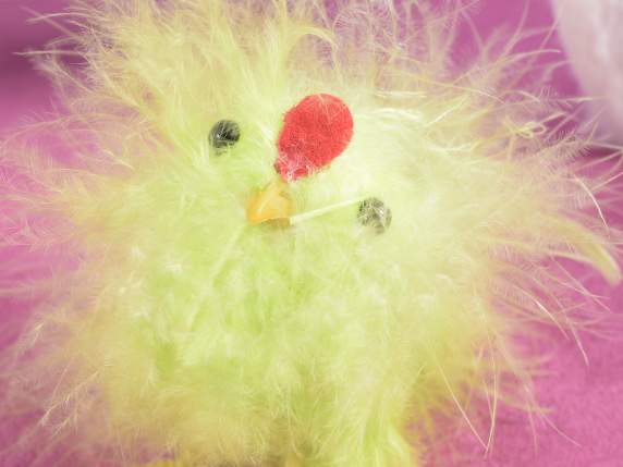 Cutie PVC cu 4 gaini in pene colorate adevarate