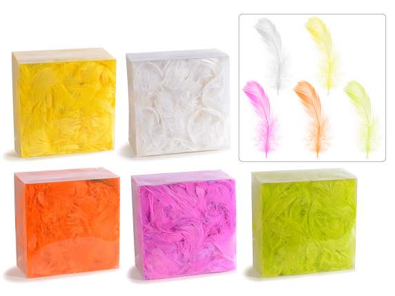 Cutie pene colorate 20g