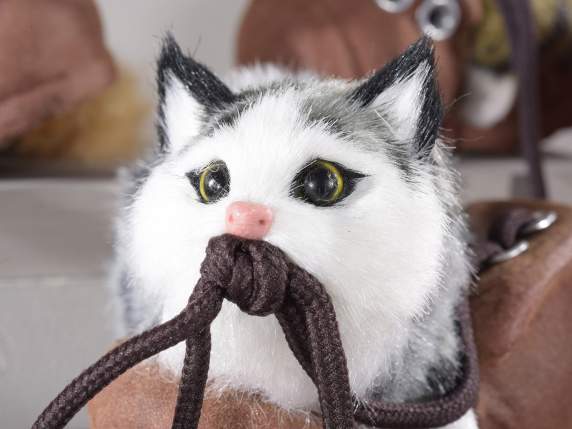 Gattino che morde i lacci su scarpone