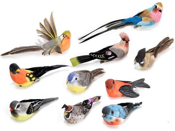 Scat 10 uccellini dipinti a mano c-coda di piume vere e clip