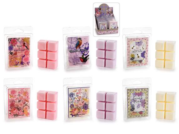 Confezione 6 cubetti in cera profumata Foulard in espo