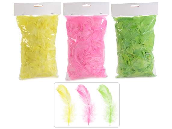 Confezione di piume colorate decorative da 20g