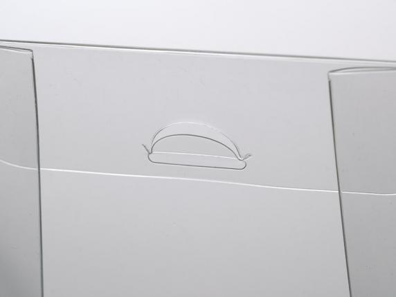 Caja rectangular de PET - grado alimenticio